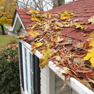 Home Improvement Tips for fall
